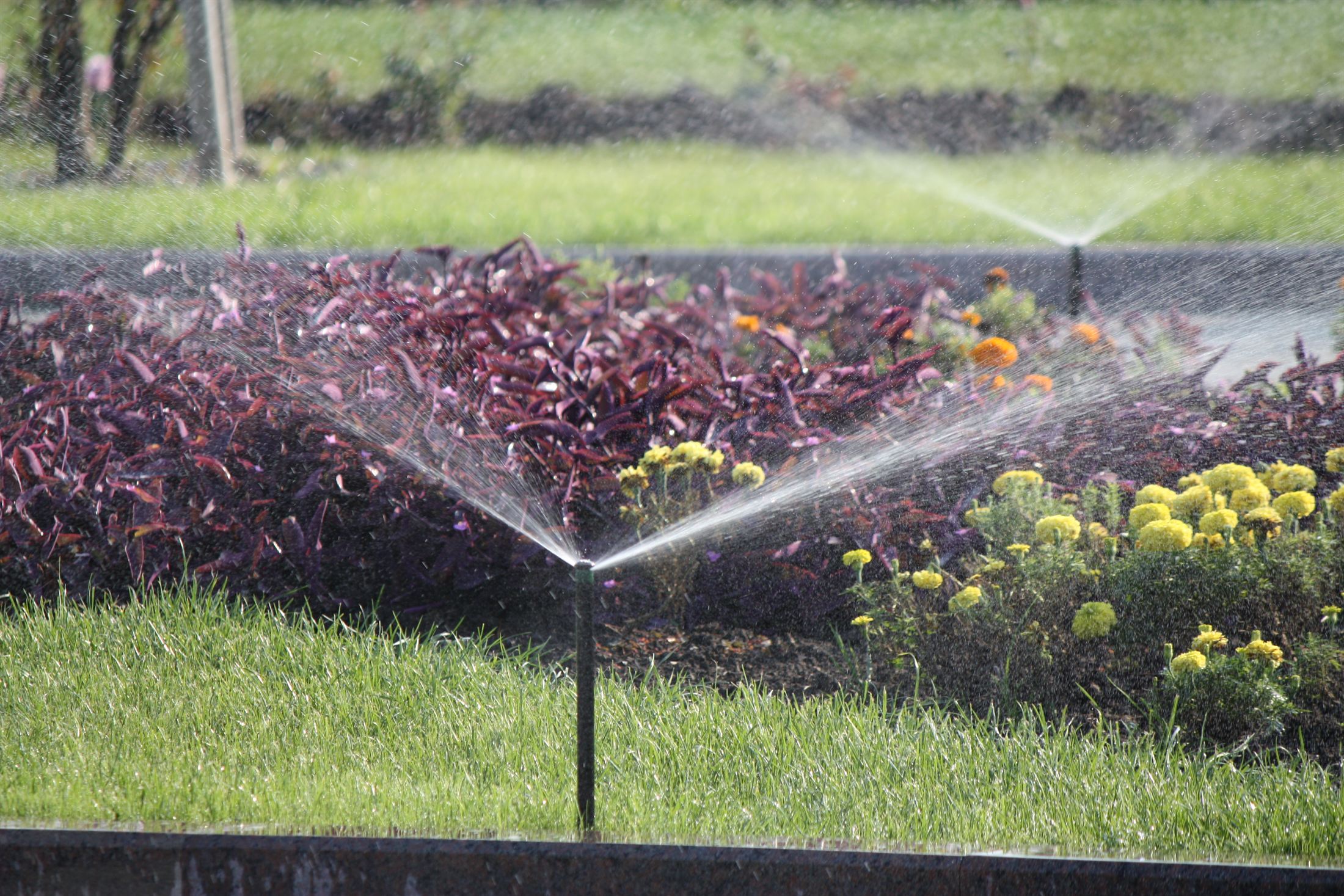 Парк Ленінського Комсомолу, фото 37